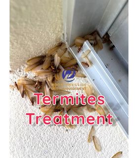 (Category: ) located in . Submitted by boomthepestmanagement (Listing ID 1352174484, Image 1). Description: .