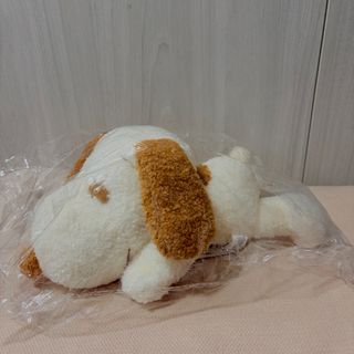 （分類：）位於 。 由 iiijuh 提交（商品編號 1413804338，圖片 1）。簡介： 。