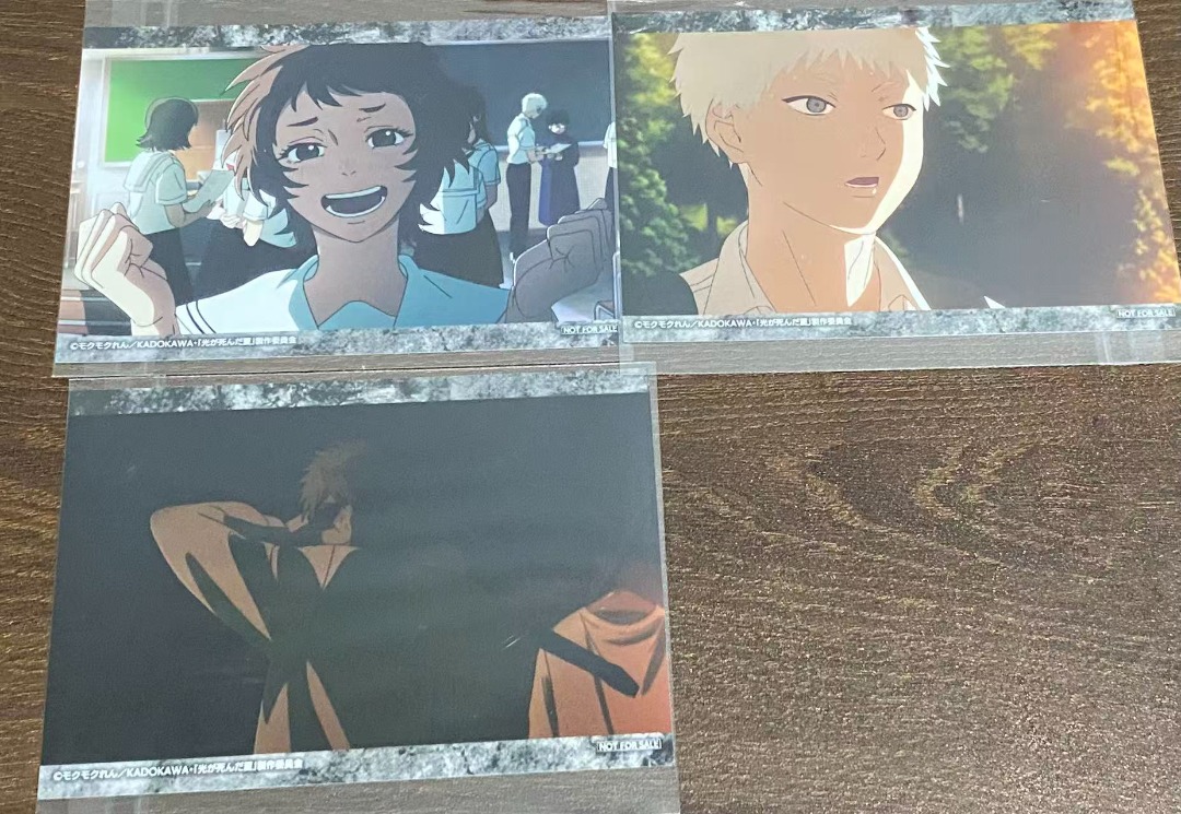 tshd/the summer hikaru died polaroid card, Hobbies & Toys, Memorabilia ...