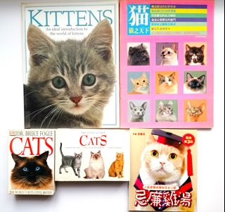 （分類：）位於 。 由 cestbienca 提交（商品編號 1414027414，圖片 1）。簡介： 。