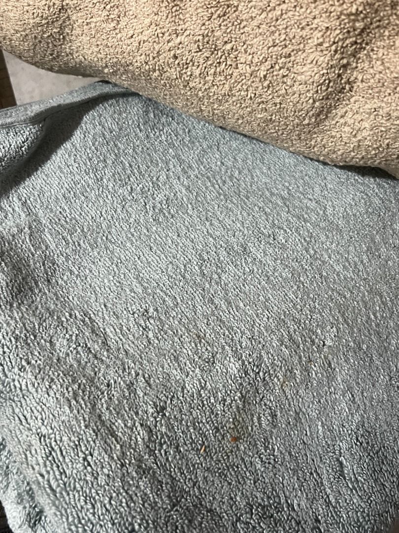 BATH TOWELS BROWN AND BLUE (250 EACH) (Category: Towels, Napkins & Holders) located in Pasig City. Submitted by hazzelle.co (Listing ID 1413941588, Image 2). Description: RFS: Decluttering Ships Nationwide. .