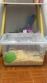 (Category: ) located in . Submitted by nabilahazlan03_ (Listing ID 1414032219, Image 1). Description: .