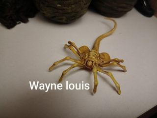 (Category: ) located in . Submitted by artswork4u (Listing ID 1413895322, Image 1). Description: .