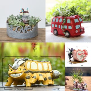 (Category: ) located in . Submitted by sgflorist (Listing ID 1362674867, Image 1). Description: .