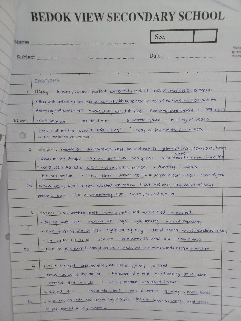SEC 3/ 4 O LEVEL NOTES, Hobbies & Toys, Books & Magazines, Textbooks on ...