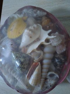 (Category: ) located in . Submitted by jojojo26 (Listing ID 1413993591, Image 1). Description: .