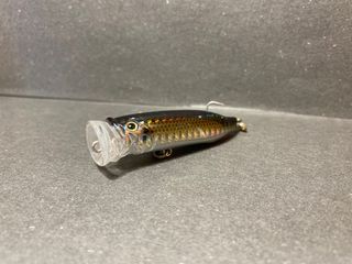 (Category: ) located in . Submitted by fishing_bros_2 (Listing ID 1413921328, Image 1). Description: .