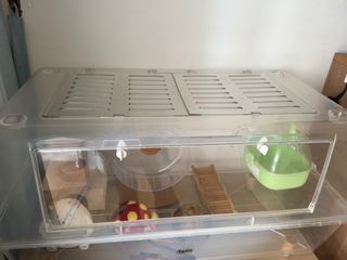 (Category: ) located in . Submitted by bobo266 (Listing ID 1413912088, Image 1). Description: .