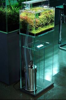 (Category: ) located in . Submitted by natureaquaticsystem (Listing ID 1414108777, Image 1). Description: .