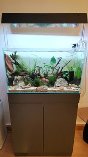 (Category: ) located in . Submitted by kakateasers (Listing ID 1414201633, Image 1). Description: .