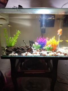 (Category: ) located in . Submitted by kemehakim (Listing ID 1414220893, Image 1). Description: .