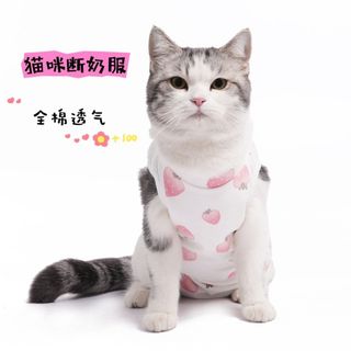 (Category: ) located in . Submitted by kitten.essential (Listing ID 1414187317, Image 1). Description: .