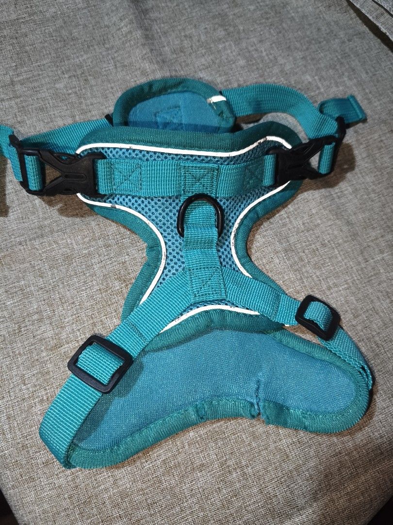 Dog Harness with Reflective Straps (Category: Homes & Other Pet Accessories) located in Quezon City. Submitted by Declutteru_QC (Listing ID 1400944821, Image 3). Description: - size: XL (chest =42-52cmneck 36-50cm - Teal dog harness - Reflective straps for safety - Adjustable fit - Breathable material - Secure buckle closure - Leash attachment point.