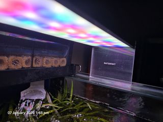 (Category: ) located in . Submitted by hifive_hifi (Listing ID 1414110804, Image 1). Description: .