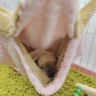 （分類：）位於 。 由 pereiraeli61026 提交（商品編號 1414140070，圖片 1）。簡介： 。