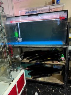 (Category: ) located in . Submitted by jepunnn (Listing ID 1414254637, Image 1). Description: .