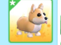 (Category: ) located in . Submitted by spmiee1989696 (Listing ID 1414342895, Image 1). Description: .