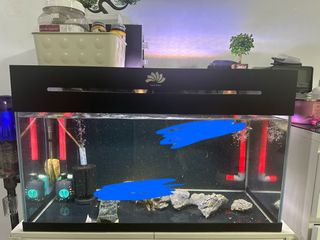 (Category: ) located in . Submitted by dashbroski (Listing ID 1414379564, Image 1). Description: .
