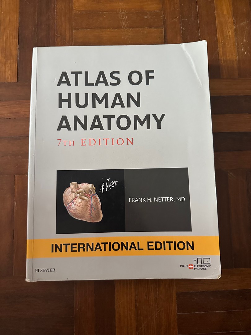 Atlas of Human Anatomy 7th Edition by Frank H. Netter