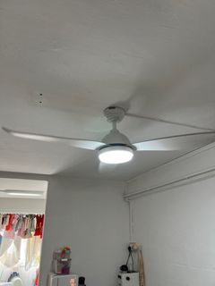 (Category: ) located in . Submitted by botunsa (Listing ID 1414296731, Image 1). Description: .