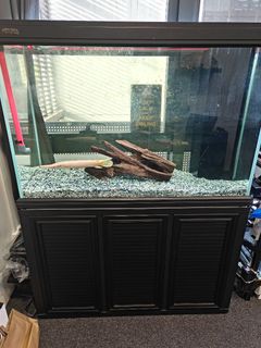 (Category: ) located in . Submitted by slack.king22 (Listing ID 1414436456, Image 1). Description: .