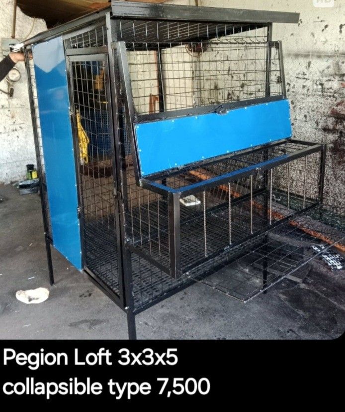 Pigeon Loft 3x3x5 Collapsible Type (Category: Homes & Other Pet Accessories) located in Taytay. Submitted by lanski8 (Listing ID 1414346270, Image 1). Description: - Collapsible pigeon loft - Dimensions: 3x3x5 - Black metal frame - Wire mesh construction - Blue panels - Includes a door - Lower section with wire mesh floor - Designed for pigeons.