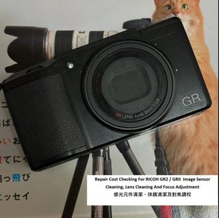 （分類：）位於 。 由 monsterpiggy2019 提交（商品編號 1414253029，圖片 1）。簡介： 。