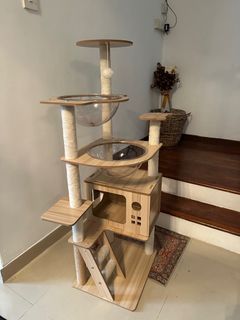 (Category: ) located in . Submitted by toastedpurr (Listing ID 1414490869, Image 1). Description: .