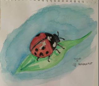 (Category: ) located in . Submitted by coolshark-6bf43f (Listing ID 1414537652, Image 1). Description: .