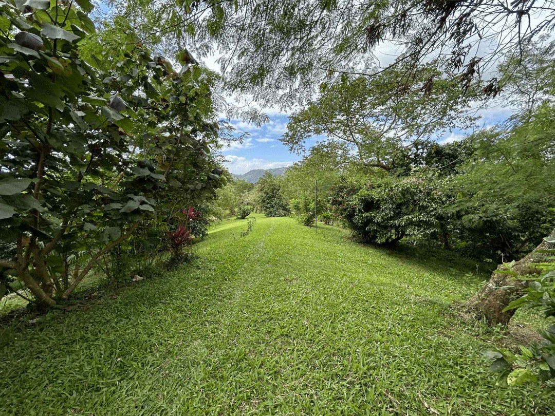 (Category: ) located in . Submitted by hvp.realtyinc (Listing ID 1414476192, Image 1). Description: .