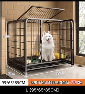 (Category: ) located in . Submitted by ppnun (Listing ID 1414580289, Image 1). Description: .