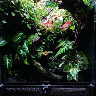 (Category: ) located in . Submitted by guacamoleee (Listing ID 1373853632, Image 1). Description: .