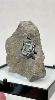 （分類：）位於 。 由 js_minerals_collection 提交（商品編號 1465175822，圖片 1）。簡介： 。