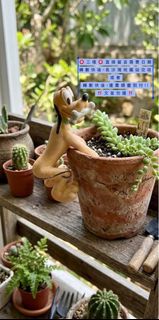 （分類：）位於 。 由 fasttrade888 提交（商品編號 1465323059，圖片 1）。簡介： 。