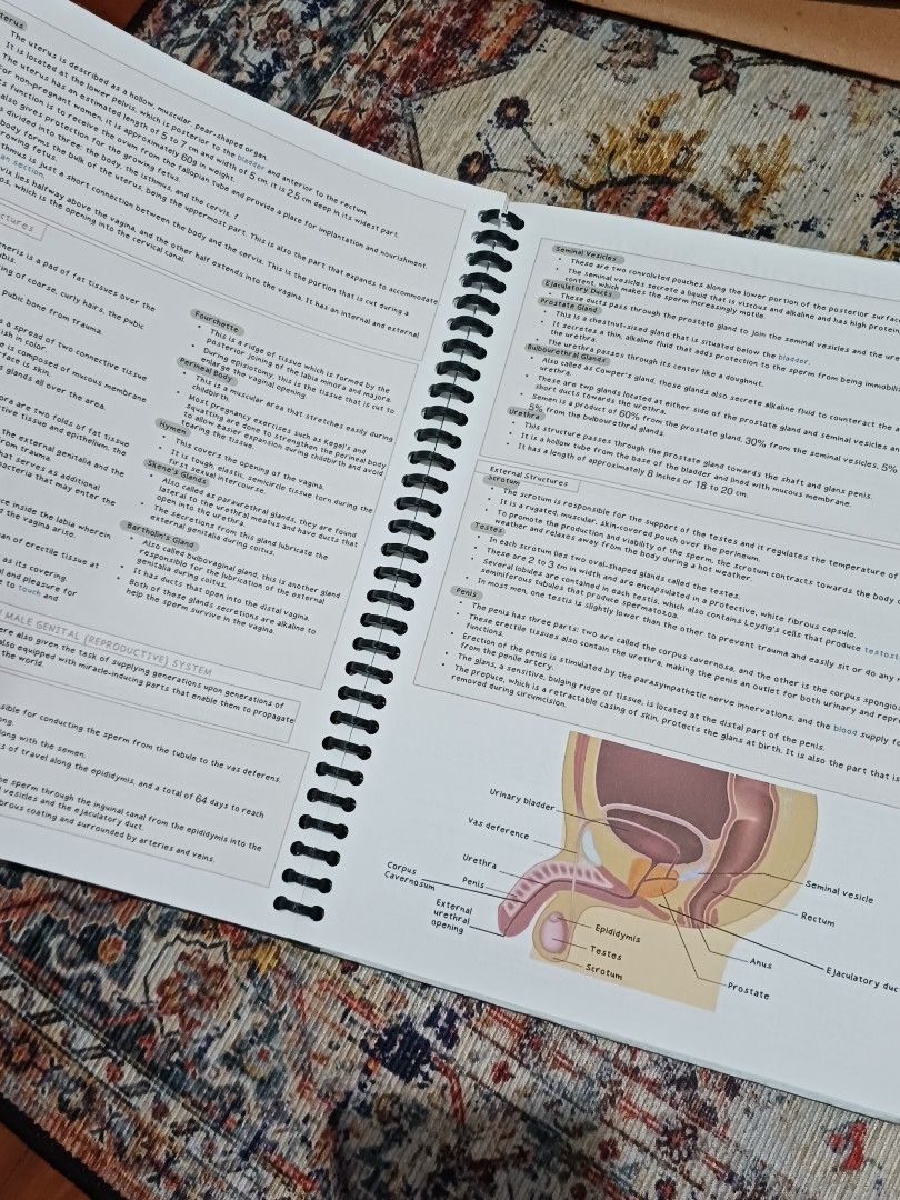 Anatomy and Physiology Study Notes Spiral Bound Notebook (Category: Textbooks) located in Quezon City. Submitted by rdonelle (Listing ID 1465296563, Image 3). Description: - Spiral-bound nursing/medical study guide - Colorful diagrams on every page - Covers superficial muscles, reproductive systems, and major organs - 100% clean pages with no markings - Great reference book for exams.