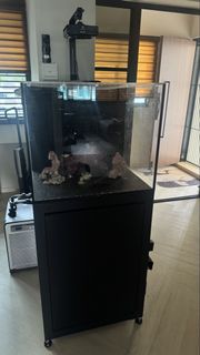 (Category: ) located in . Submitted by aquariumet (Listing ID 1465277520, Image 1). Description: .