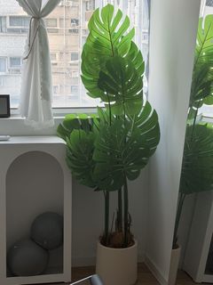 （分類：）位於 。 由 321lodai 提交（商品編號 1465232923，圖片 1）。簡介： 。