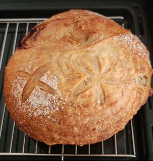 (Category: ) located in . Submitted by homemadesourdoughbread (Listing ID 1465180779, Image 1). Description: .