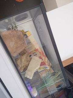 （分類：）位於 。 由 lin_ap 提交（商品編號 1465203220，圖片 1）。簡介： 。