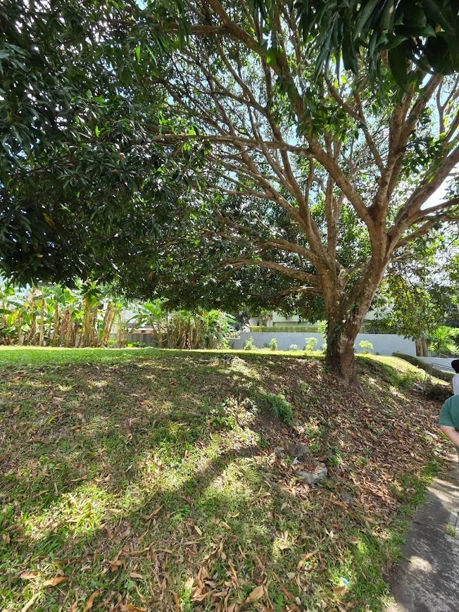 (Category: ) located in . Submitted by michaela.remaxcapital (Listing ID 1465253328, Image 1). Description: .