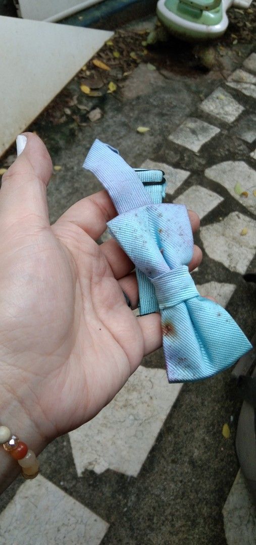 Needs washing blue bow tie (Category: Kids Toys) located in Quezon City. Submitted by eidorableshop (Listing ID 1465186339, Image 1). Description: .