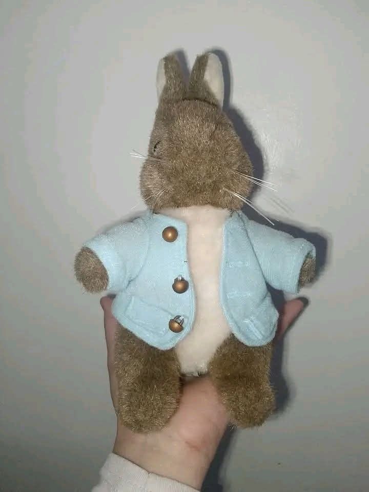 Peter Rabbit plush toy wearing blue jacket (Category: Plushies & Soft Toys) located in Cavite. Submitted by p8673 (Listing ID 1465312474, Image 1). Description: - Official Peter Rabbit character plush toy - Crafted with soft brown fur, white belly, and delicate string whiskers - Dressed in a charming light blue fabric jacket with gold-colored decorative buttons and pockets - Designed to stand upright easily - Clean and well-maintained fabric fini