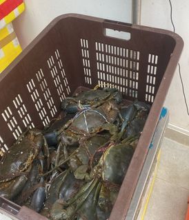 (Category: ) located in . Submitted by crab.simaak (Listing ID 1465197413, Image 1). Description: .