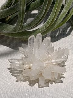 （分類：）位於 。 由 crystal_tree_99 提交（商品編號 1467025600，圖片 1）。簡介： 。