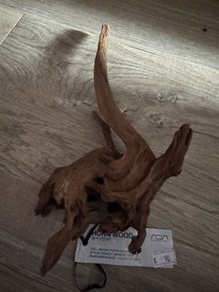 （分類：）位於 。 由 hiroooooo 提交（商品編號 1467058261，圖片 1）。簡介： 。