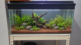 (Category: ) located in . Submitted by mumy_adam (Listing ID 1467099273, Image 1). Description: .