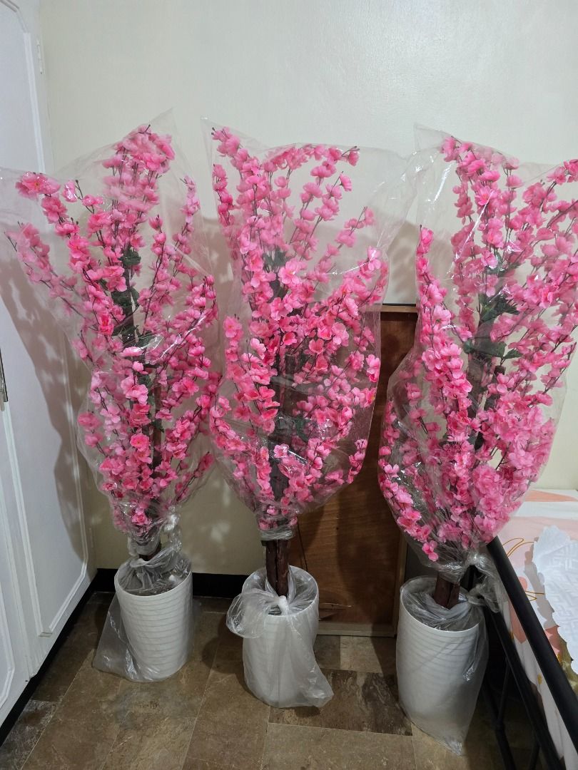 Articial CHERRY BLOSSOM TREES- NEW (Category: Artificial Plants & Flowers) located in Pasig City. Submitted by nobleowl.dd5e0e (Listing ID 1467098153, Image 3). Description: Give your space an instant aesthetic & elegant upgrade! Perfect for home décor, photo shoots, events, cafés, shops, or as beautiful display props. 🌸 📏 153 cm tall ✨ Brand New 🌸 Beautiful, low-maintenance décor 💰 ₱1,500 EACH 🔥 TAKE ALL 3 FOR ONLY ₱4,000! 💥 Save ₱500 when