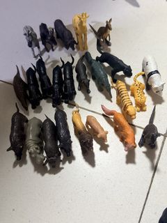 (Category: ) located in . Submitted by jarba (Listing ID 1467077180, Image 1). Description: .