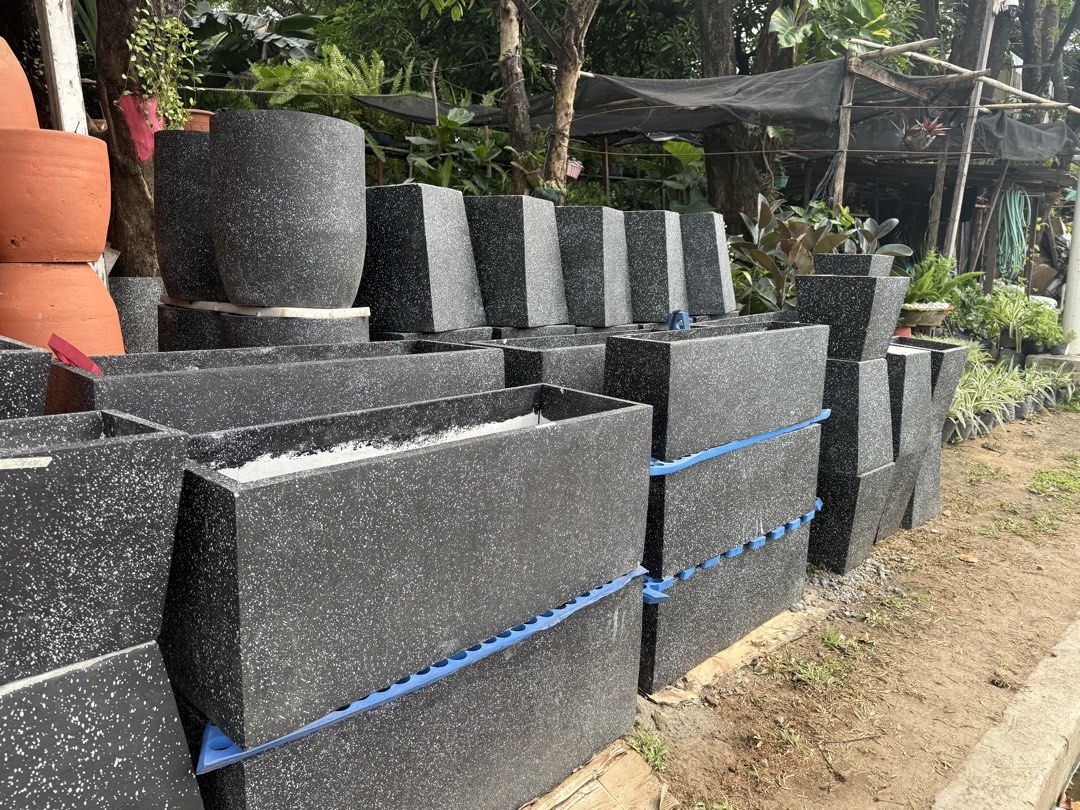 Cement pots (Category: Pots & Planters) located in Paranaque City. Submitted by plants_sale (Listing ID 1467110595, Image 3). Description: .