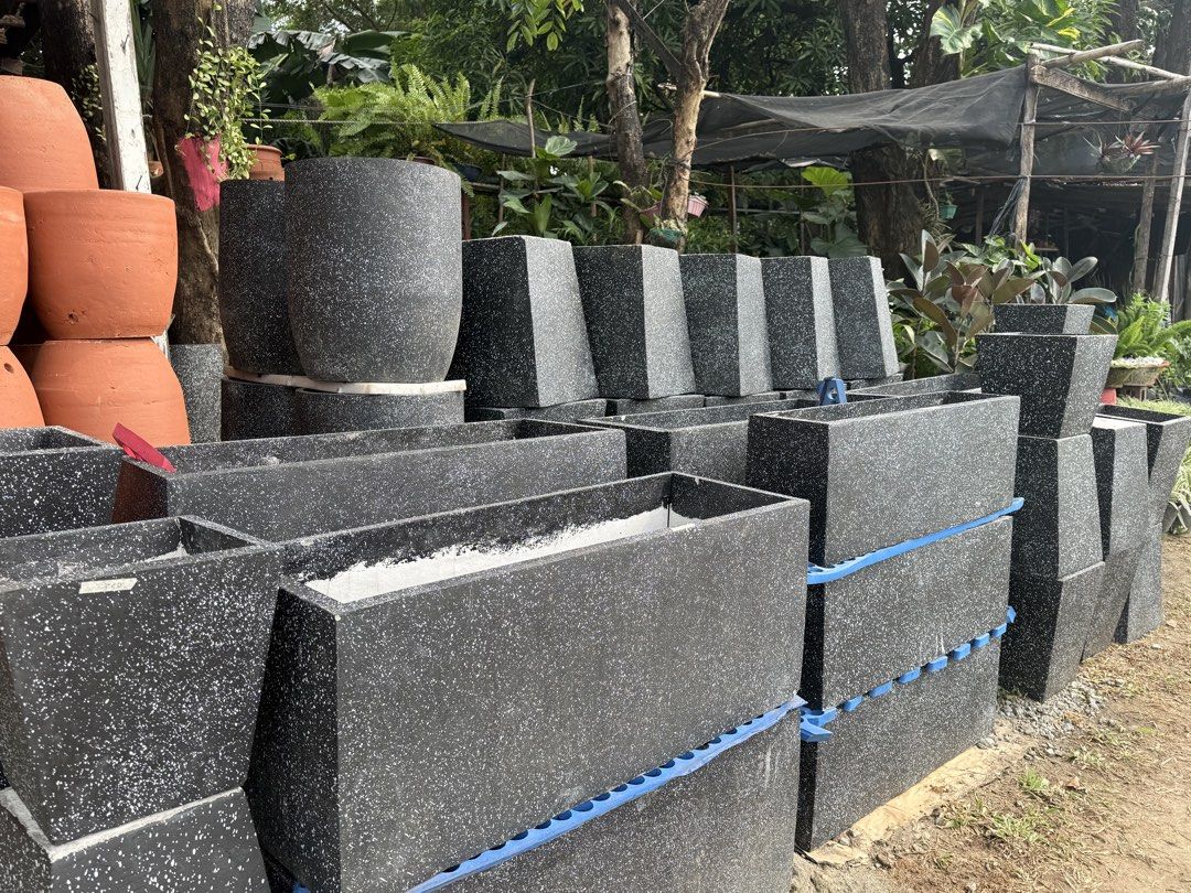 Cement pots (Category: Pots & Planters) located in Paranaque City. Submitted by plants_sale (Listing ID 1467110595, Image 2). Description: .